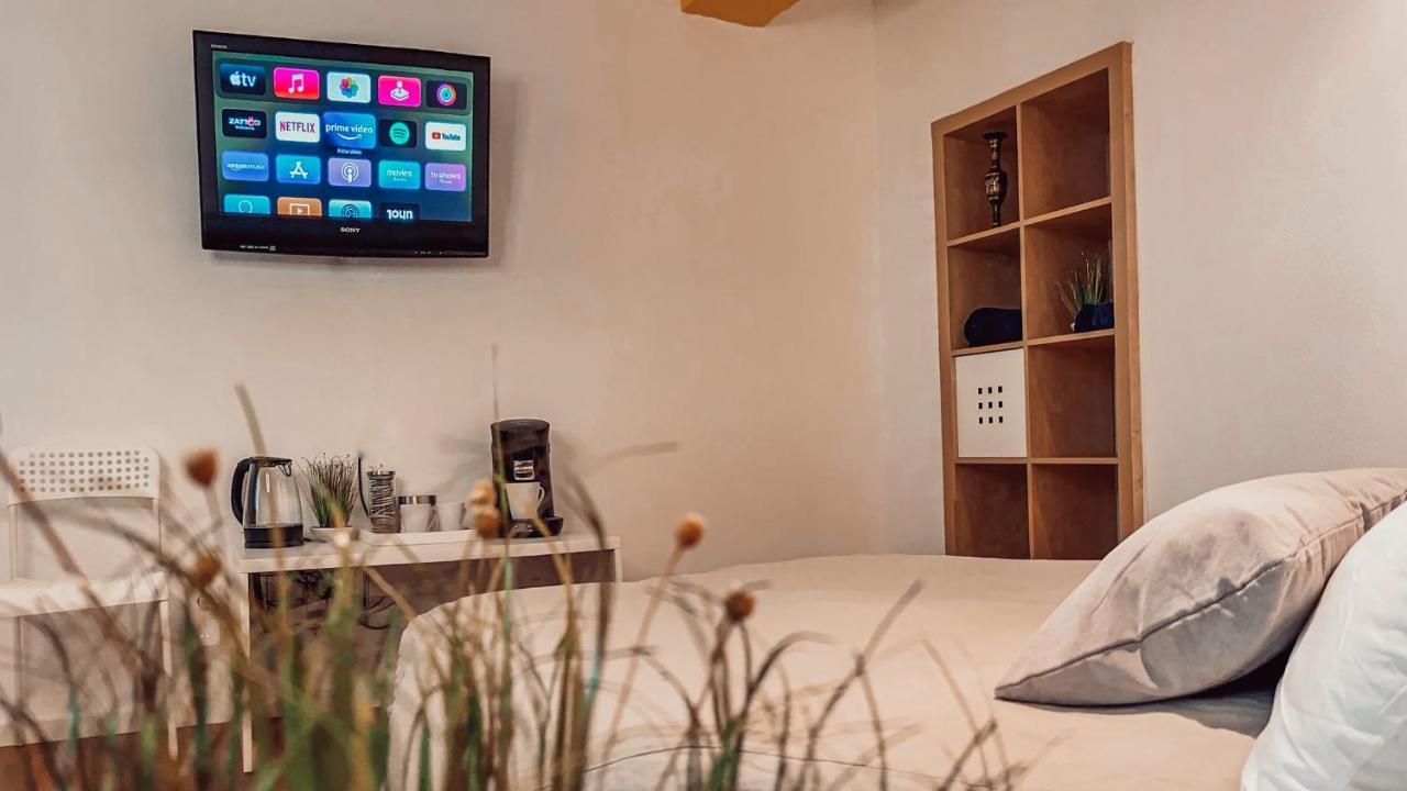 Villa Herkules: Forest-Edge Apartment with Smart TVs and Free Parking Kassel Exterior photo